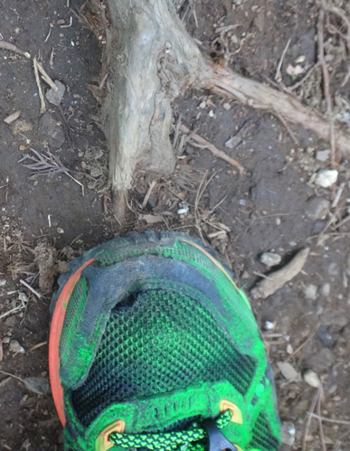 ゼログラビティを可能にした靴と、刺さった木の根っこ