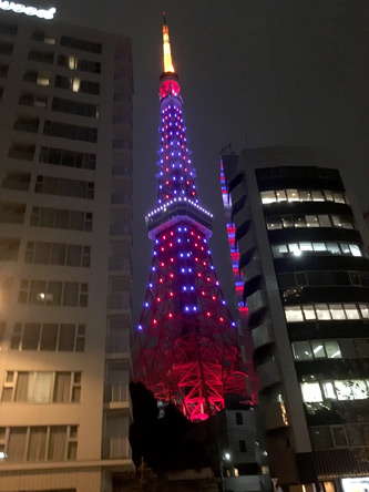 今日の東京タワーはどういう意向じゃろ？