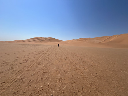 ずっとこんな風景