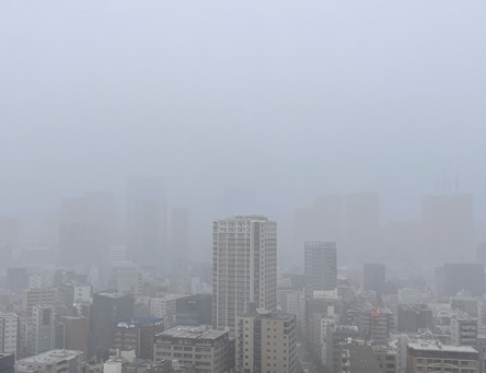 雨がすごくて風景がない