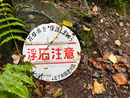 浮石注意は初めて見た