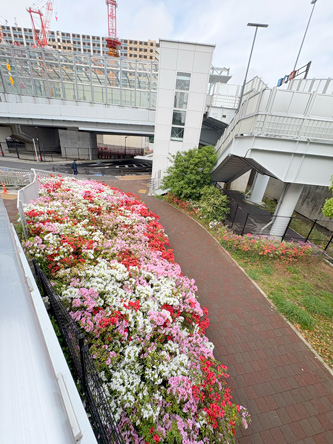 きれいな花がたくさん、無駄に咲いとるｗ