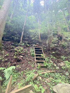 昔は普通のハイキング道だったみたい