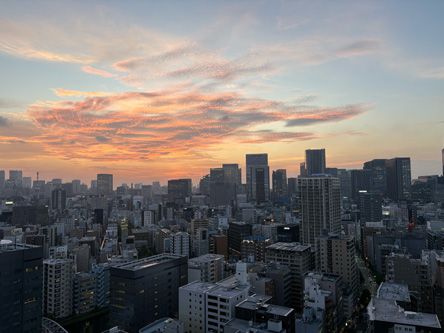 在宅だと夕日を見放題💕