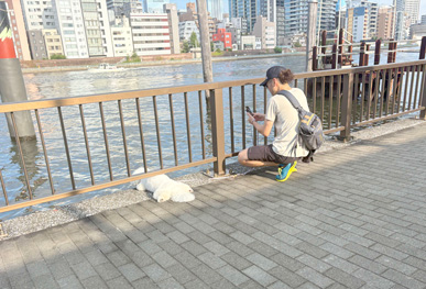 隙間から川面を覗く🐕️