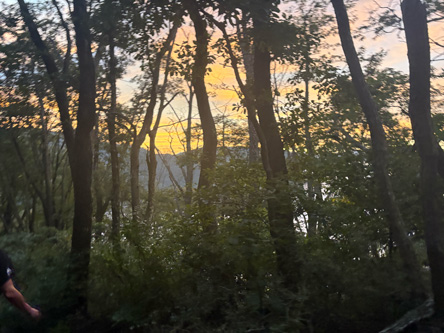雲海も夕日も素晴らしかった