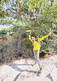 日当山みたいな砂地の山