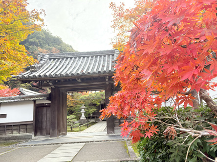 幼稚園の門だとは思えない