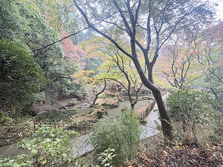 もみじがウリみたい