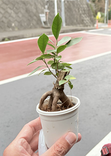 こんなん欲しかったわ