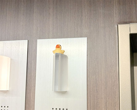 ブームに便乗してか、またいたｗ