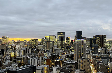 夕暮れの暗さがイイ