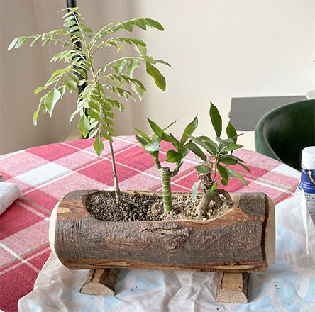 あまに油を塗ってみた