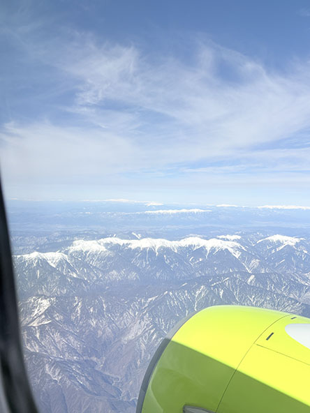 南アルプスかしら