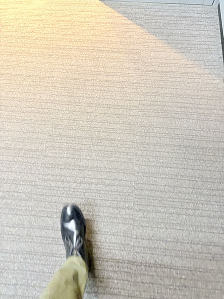 なぜか撮れとるｗ