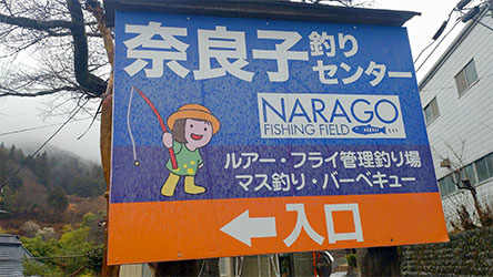 サカナもカワイイ